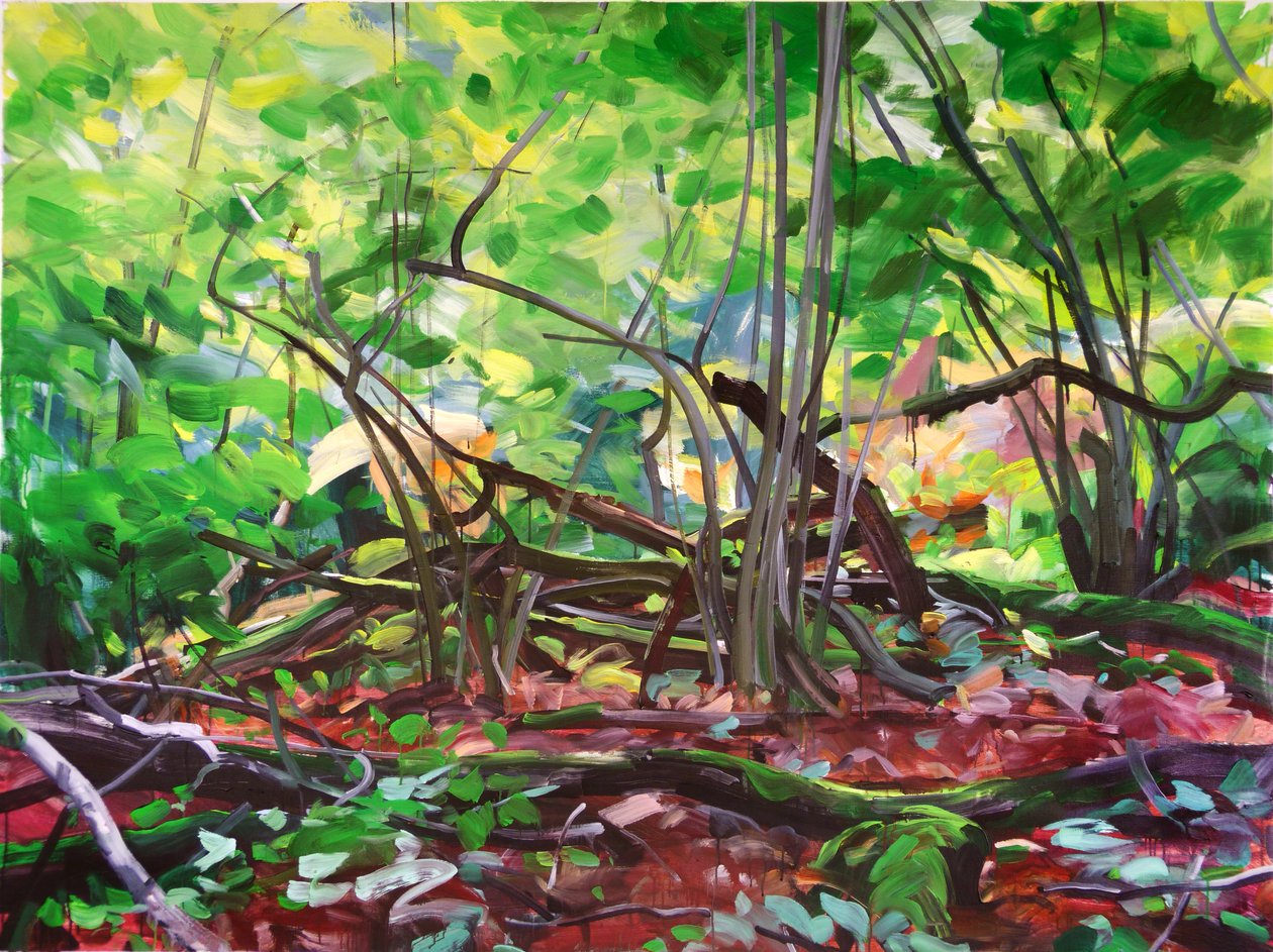 Forest 12,2015 (akryl på lerret) av Olivier Morel