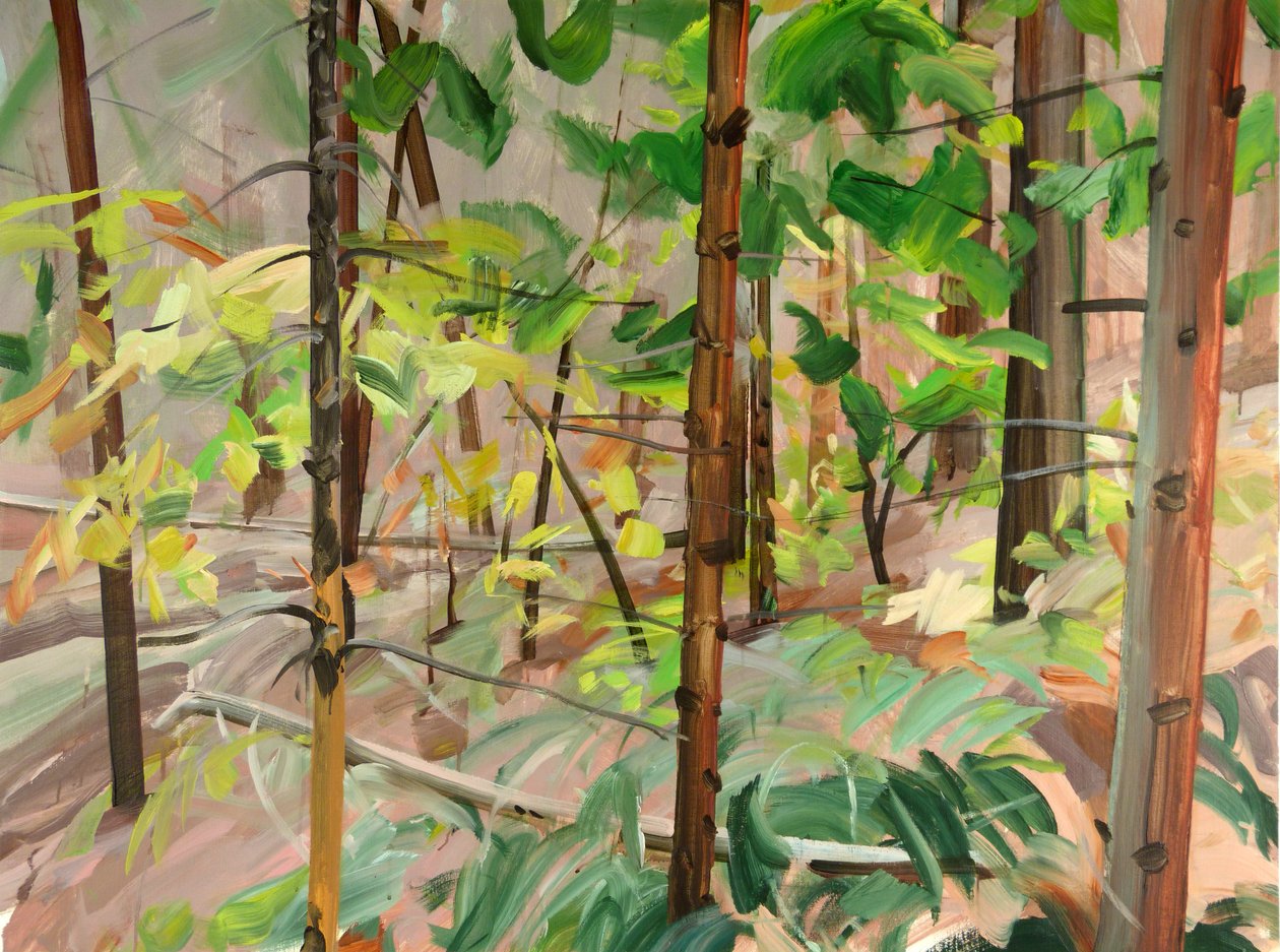 Forest 9,2015 (akryl på lerret) av Olivier Morel