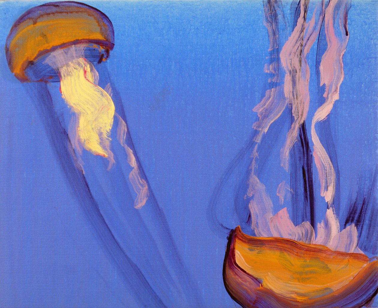  av Olivier Morel