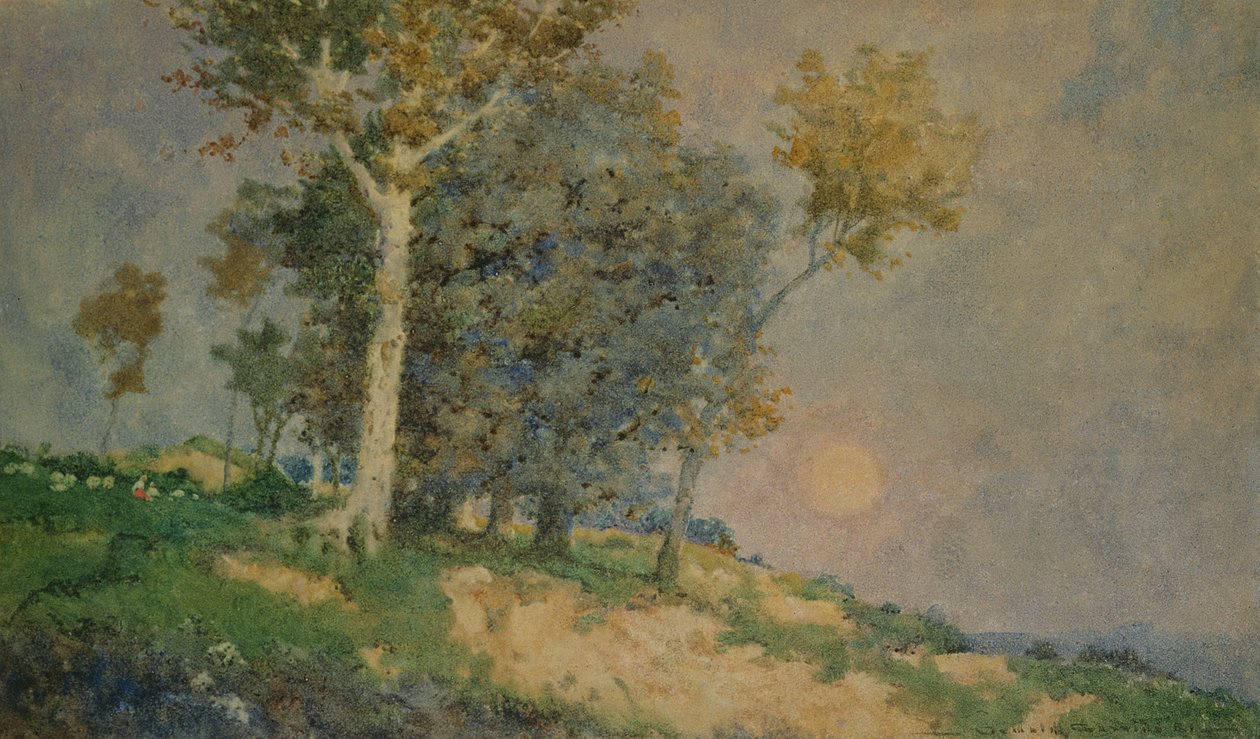 En sommer i marka av Oswald Garside