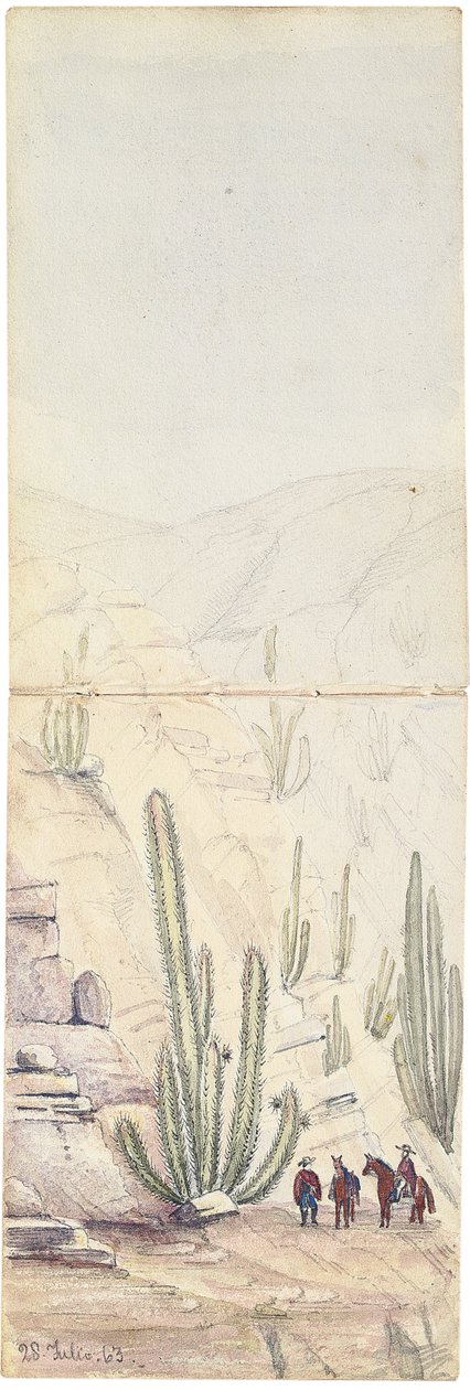 Kaktuser i Deep "Groove", 1863 av Oswald Younghusband