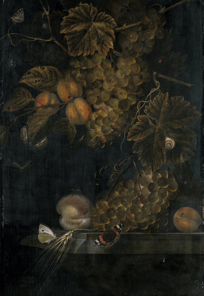 Stilleben med fersken og druer, 1665 av Ottmar the Elder Elliger