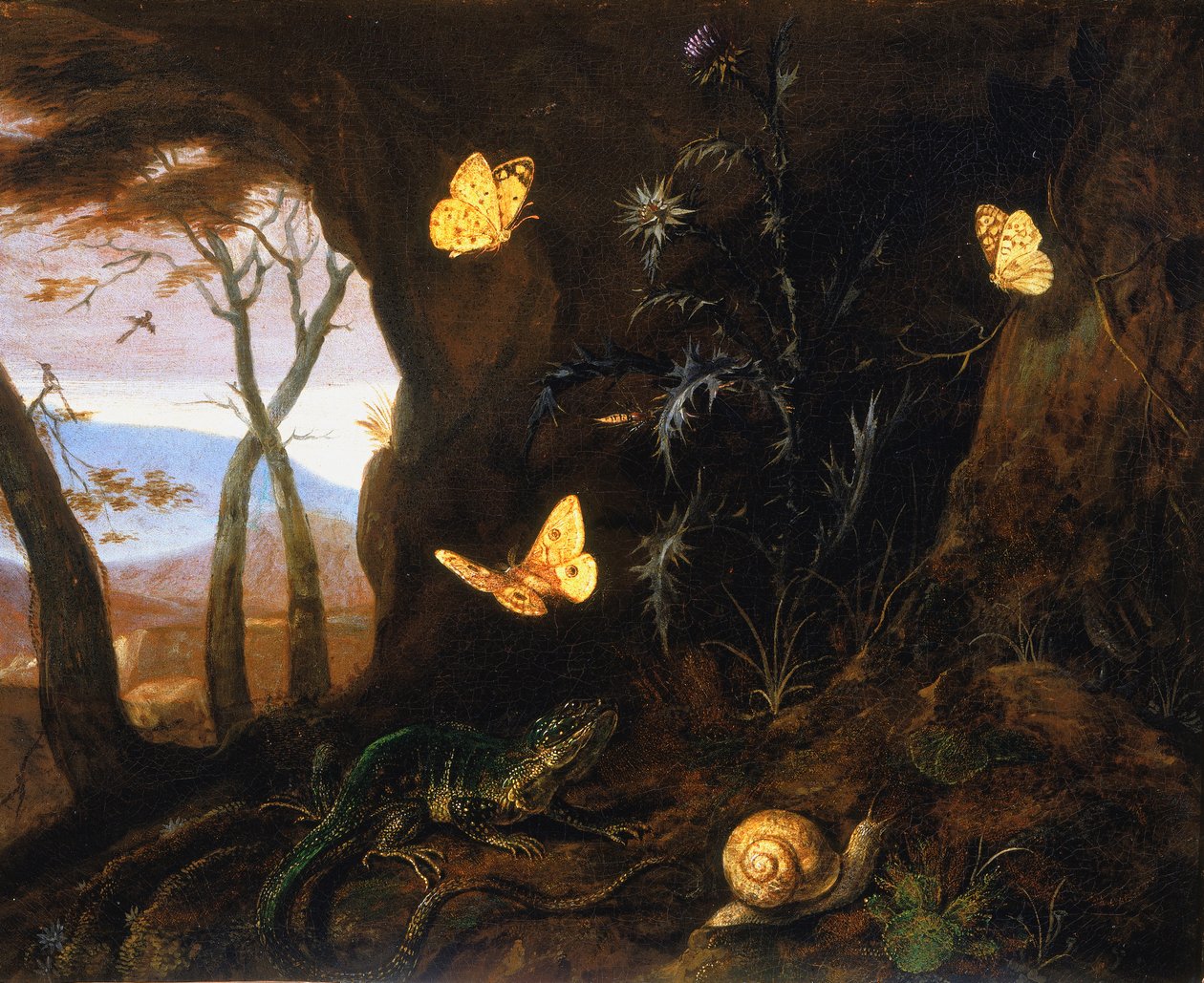 Små krypdyr og sommerfugler i et hjørne av skogen av Otto Marseus  van Schrieck