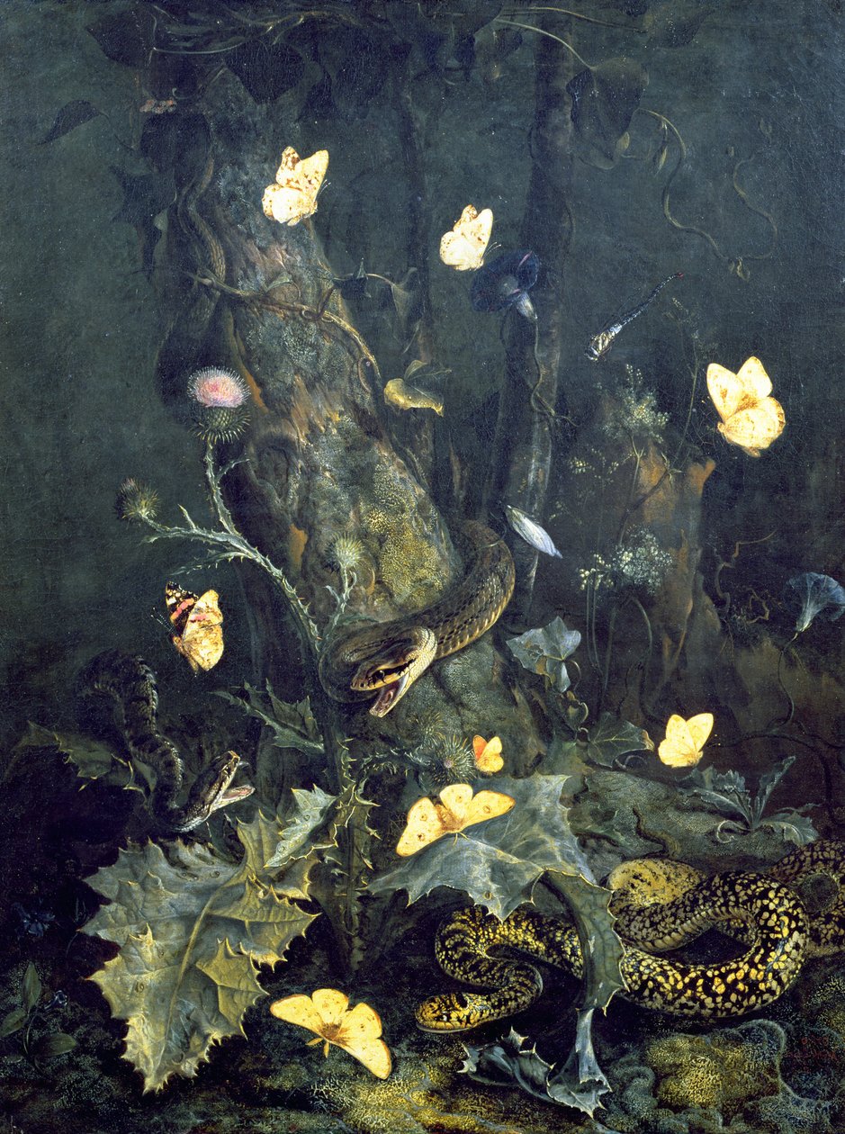 Slanger og sommerfugler, 1670 av Otto Marseus  van Schrieck