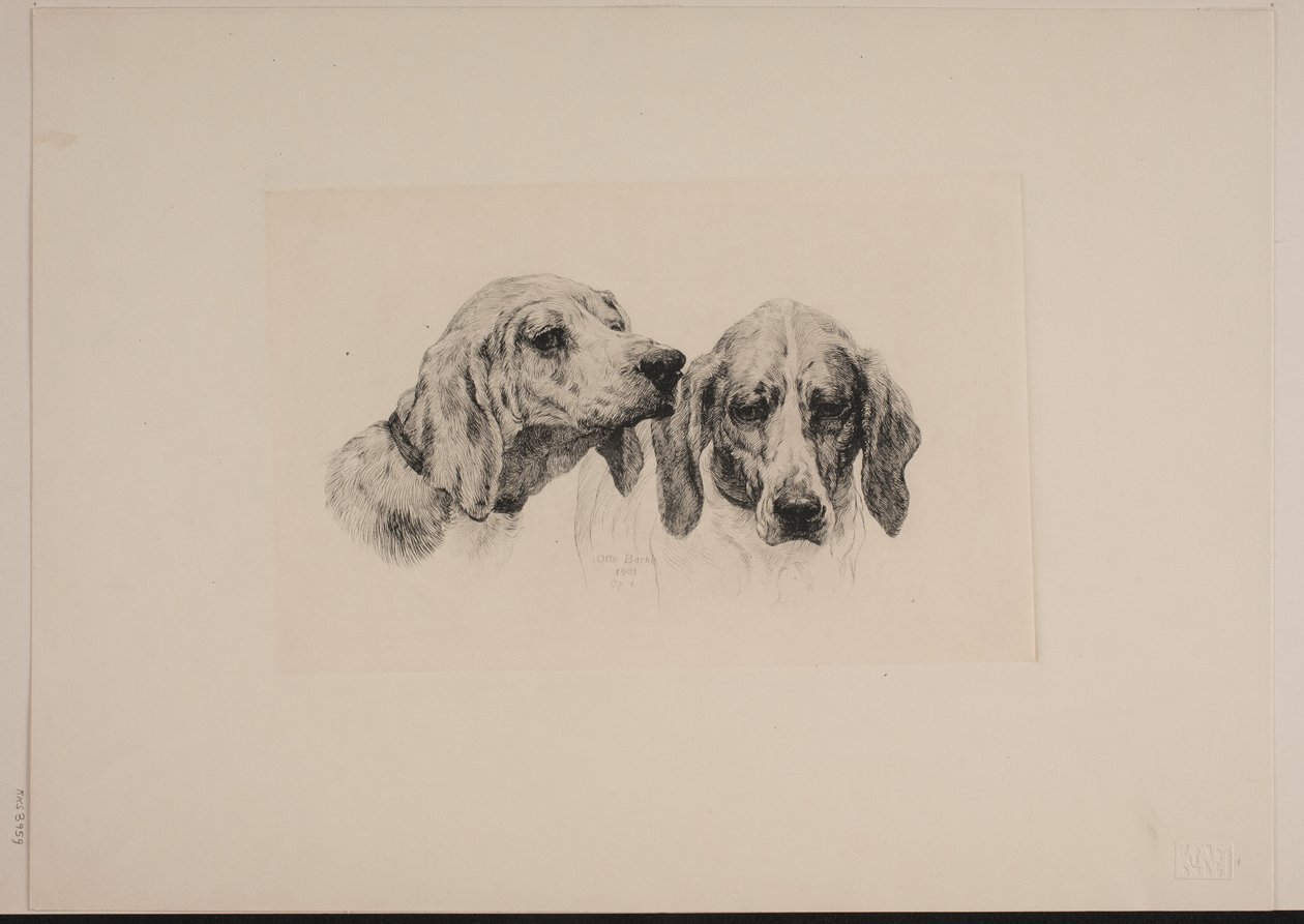 To hundehoder av Otto Bache