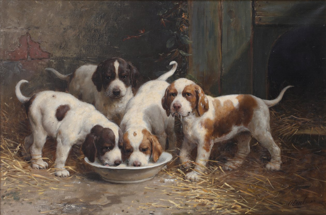 Saint Bernard-valper som drikker melk (olje på lerret) av Otto Eerelman