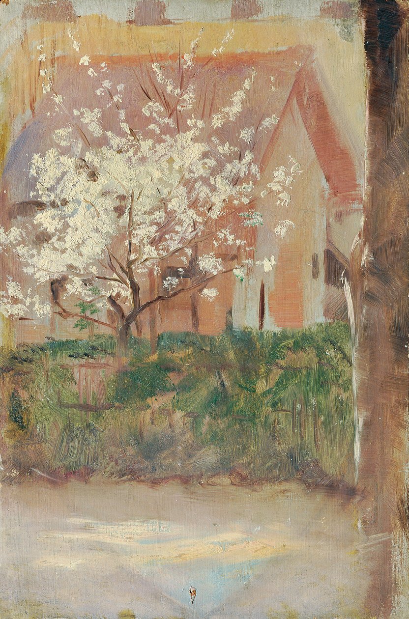 Hvitt blomstrende tre i forgården av Otto Friedrich