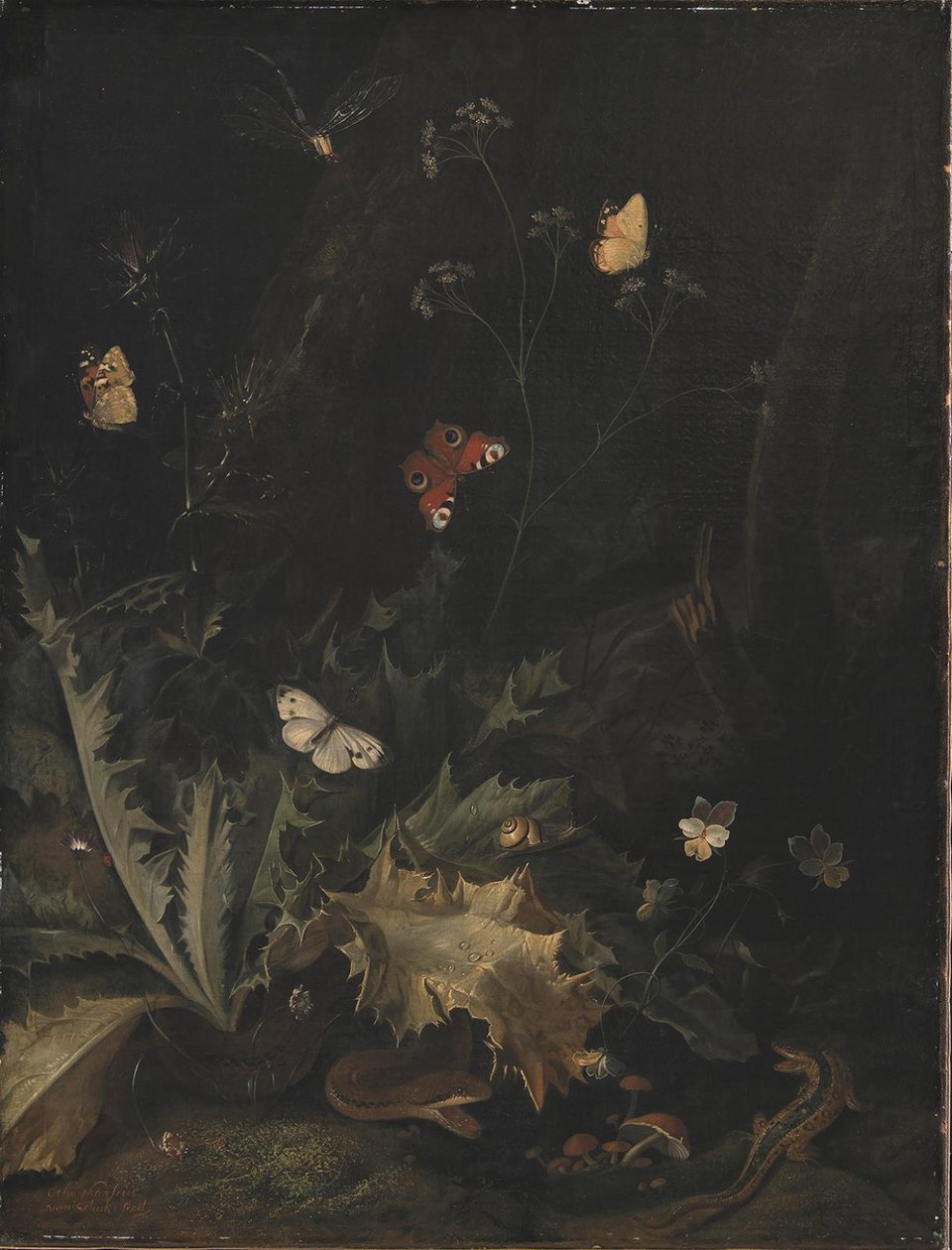 Et skoggulv med en tistel, en slange, en øgle og sommerfugler av Otto Marseus  van Schrieck