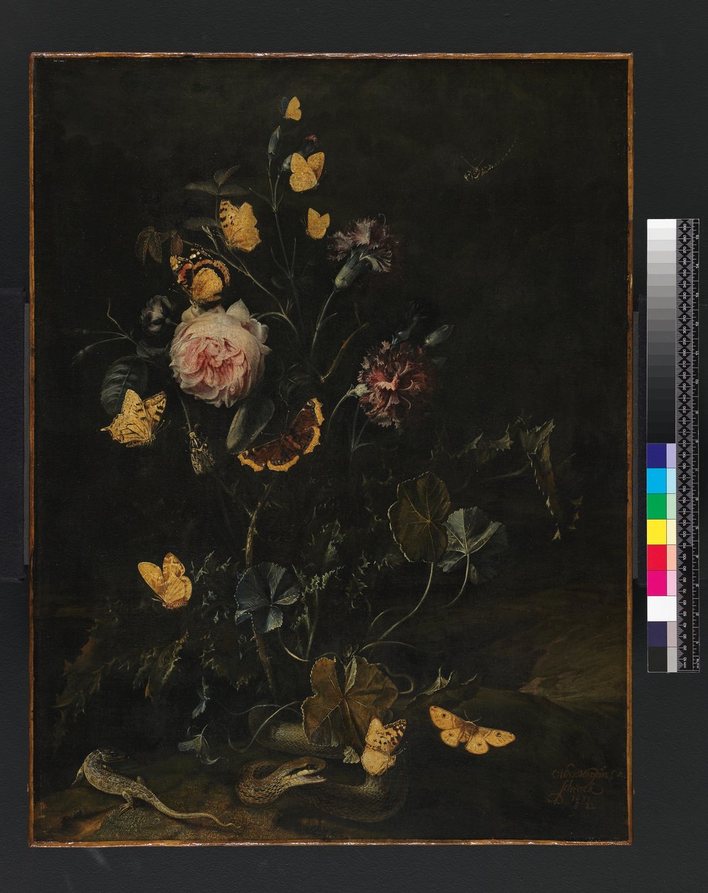 Blomster, insekter og krypdyr, 1673 av Otto Marseus  van Schrieck