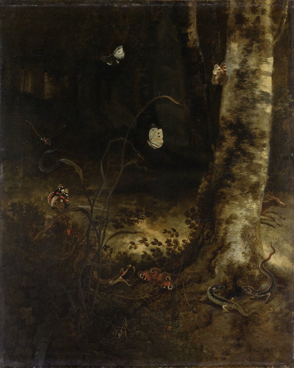 Skoggulv med en slange, øgler, sommerfugler og andre insekter av Otto Marseus  van Schrieck