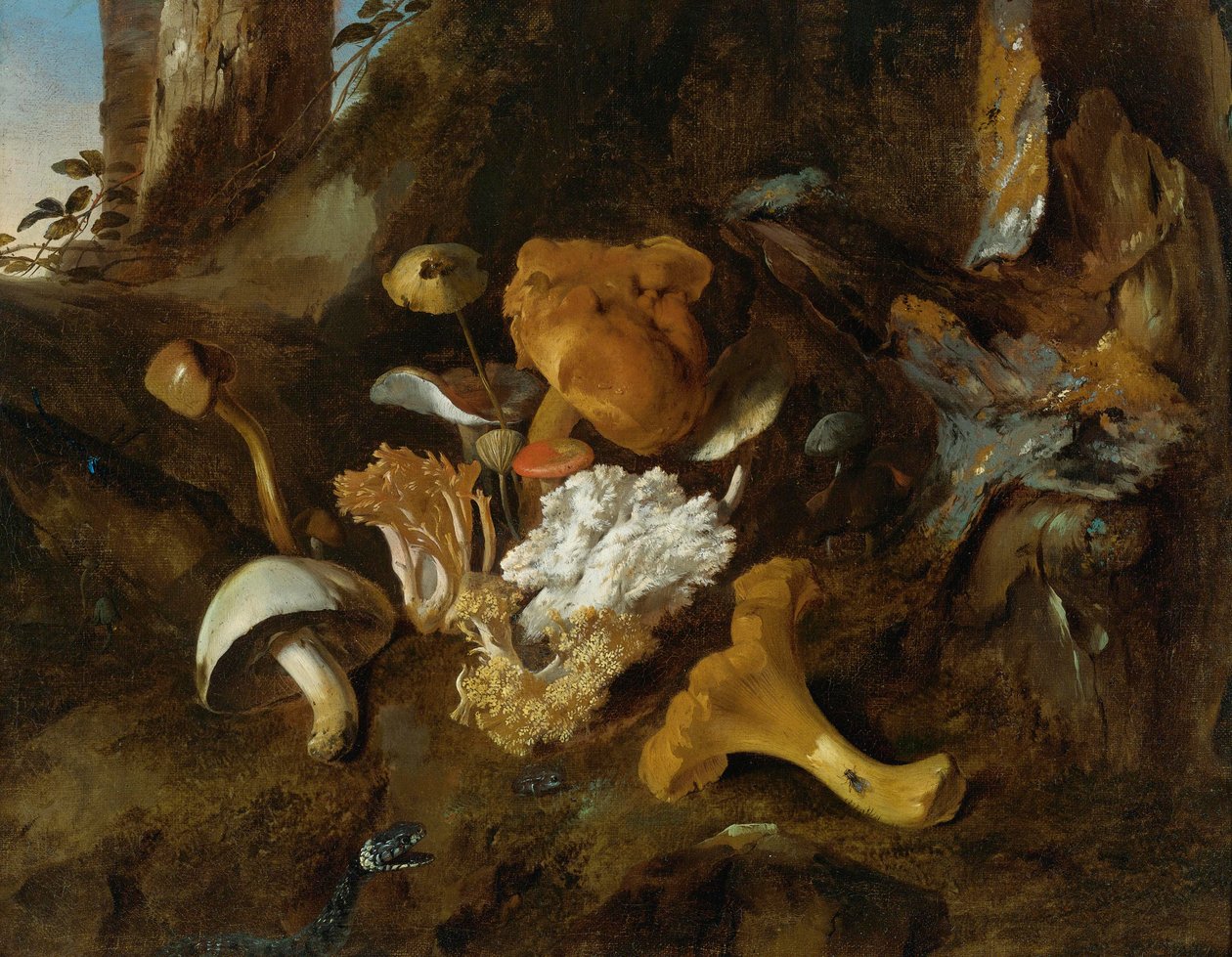 Skogbunnsstilleben med sopp, sommerfugler og en slange av Otto Marseus  van Schrieck