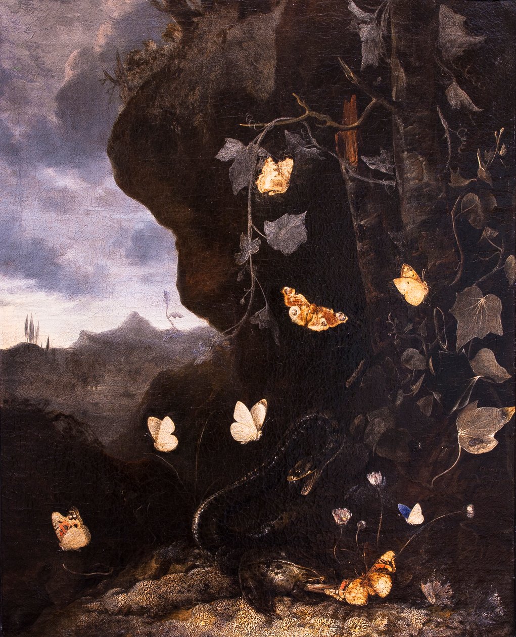 Slanger, padder og sommerfugler av Otto Marseus van Schrieck