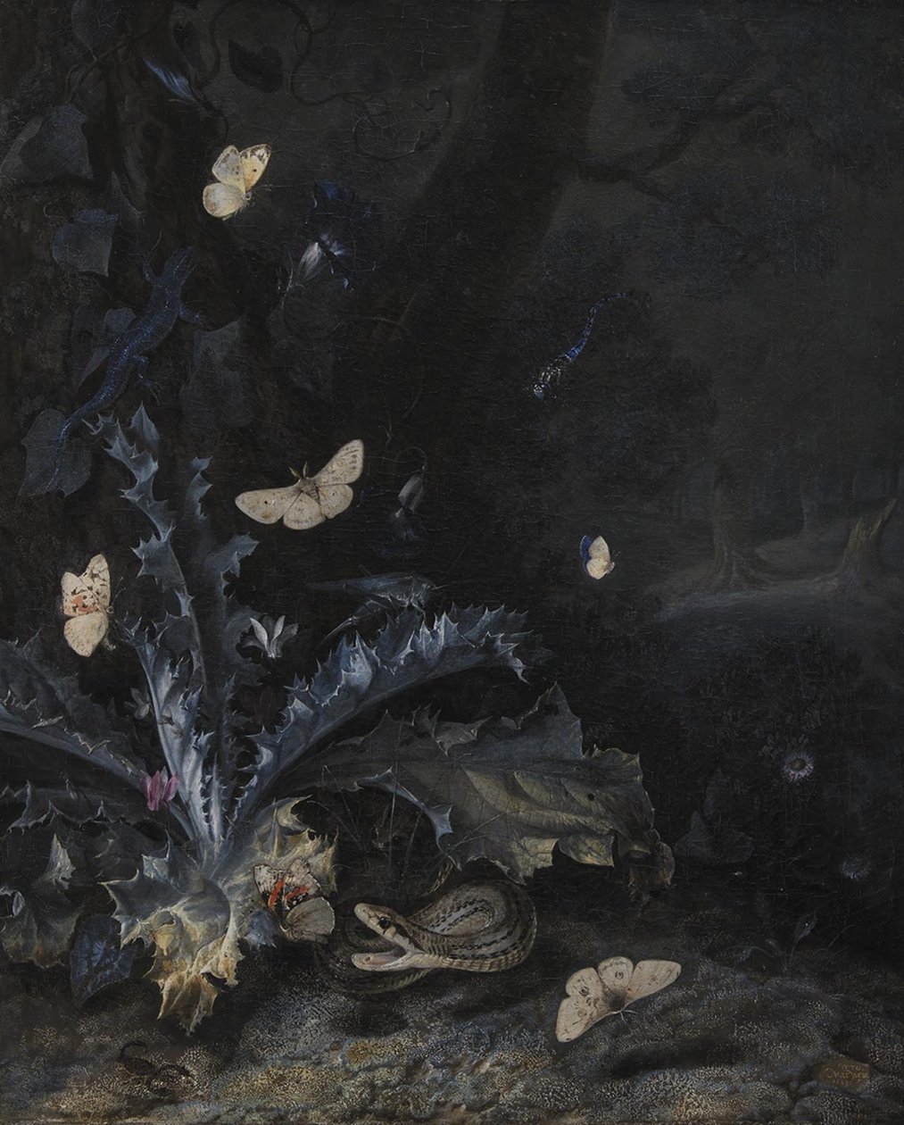 Stilleben med tistel og slange av Otto Marseus  van Schrieck