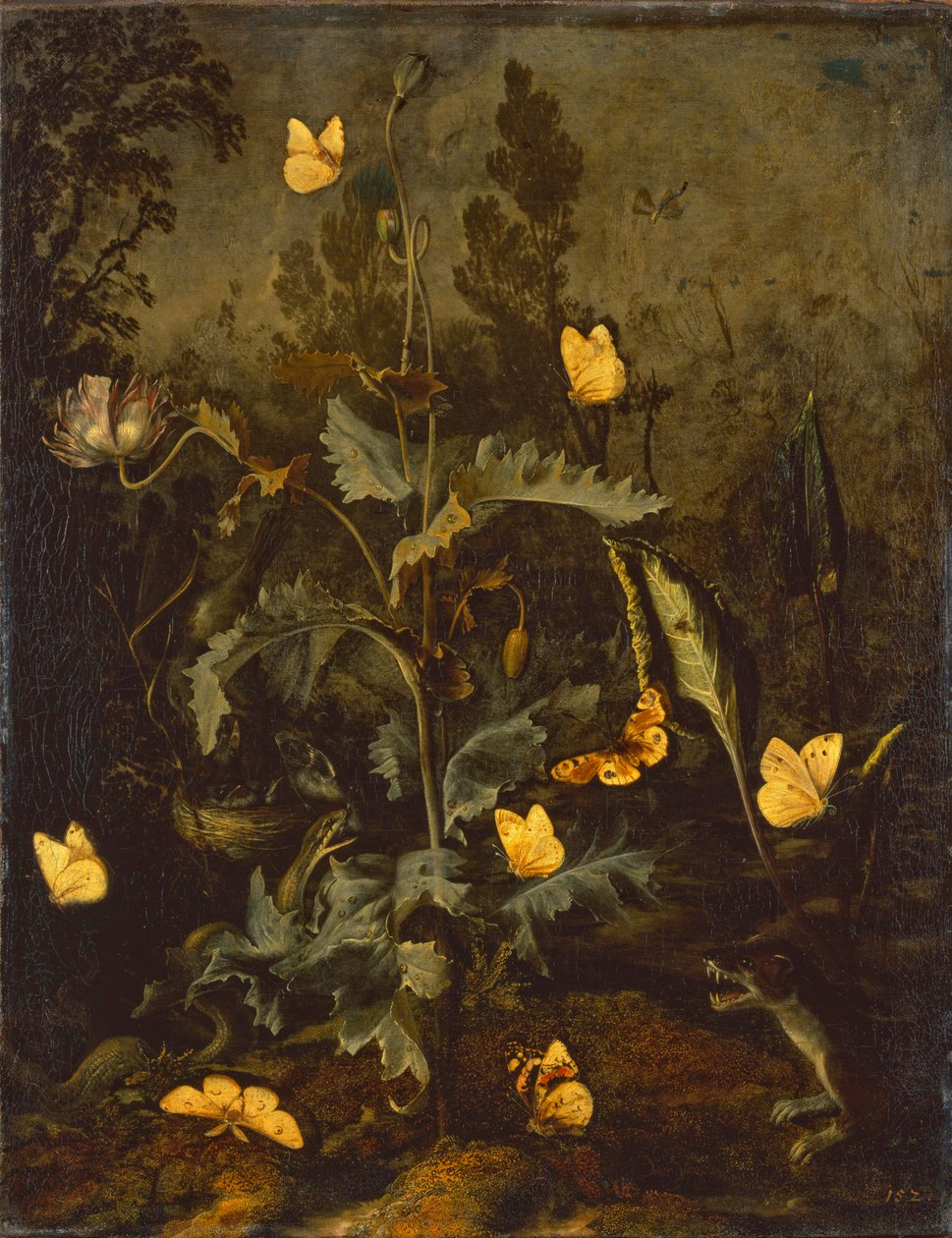 Slangen ved fugleredet / Opiumsvalmue med fuglerede, slange, sommerfugler og minst vesle av Otto Marseus  van Schrieck