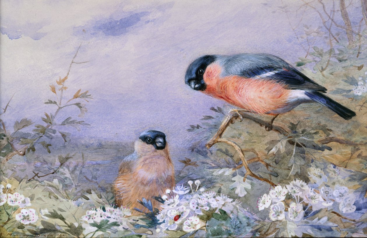 Et par oksefinker blant blomstene av Otto Murray Dixon
