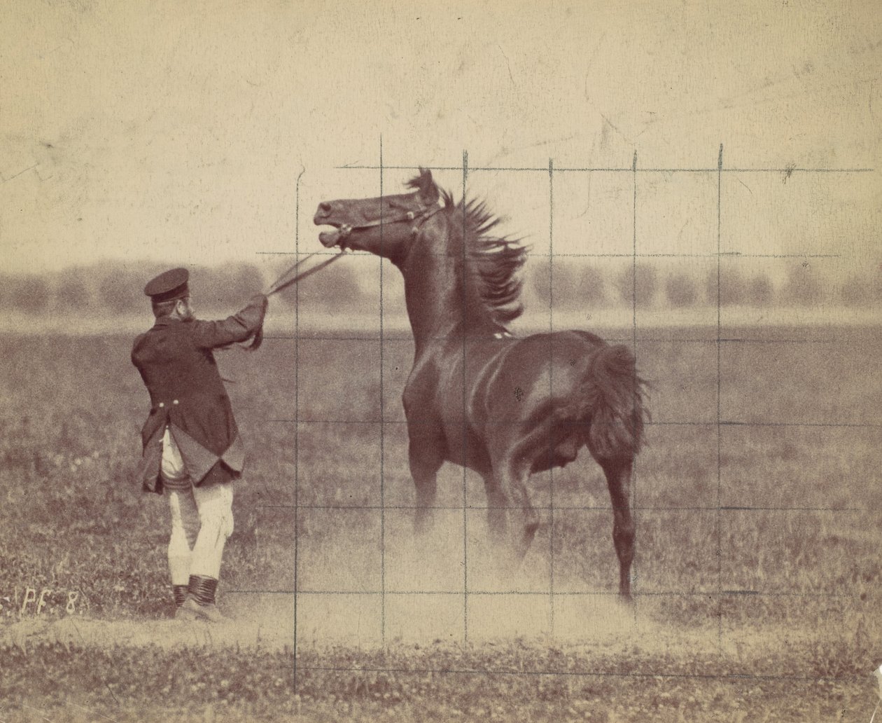 Hest, 1884. av Ottomar Anschütz