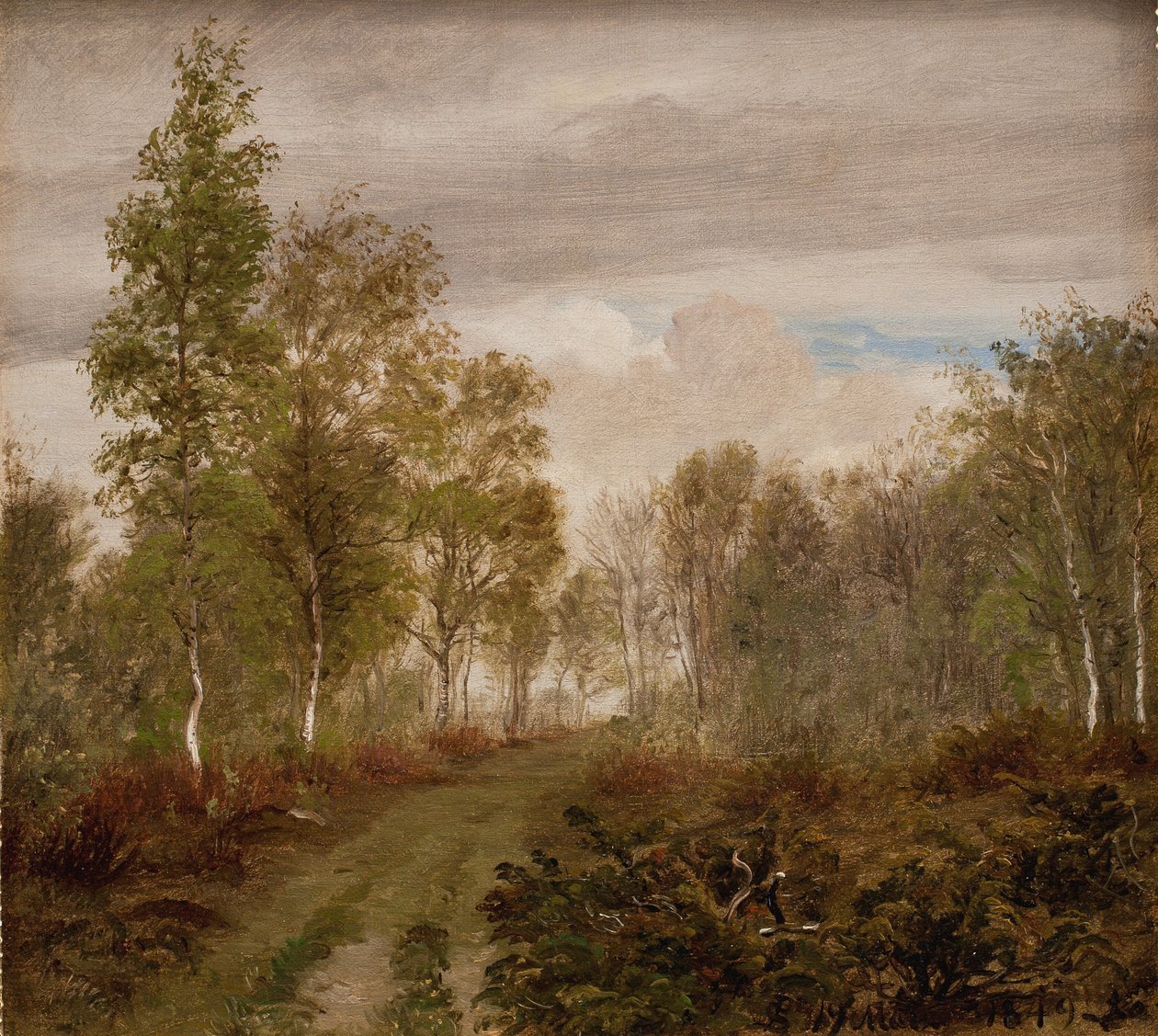 Bjørketrær på Læsø etter regn av P.C. Skovgaard