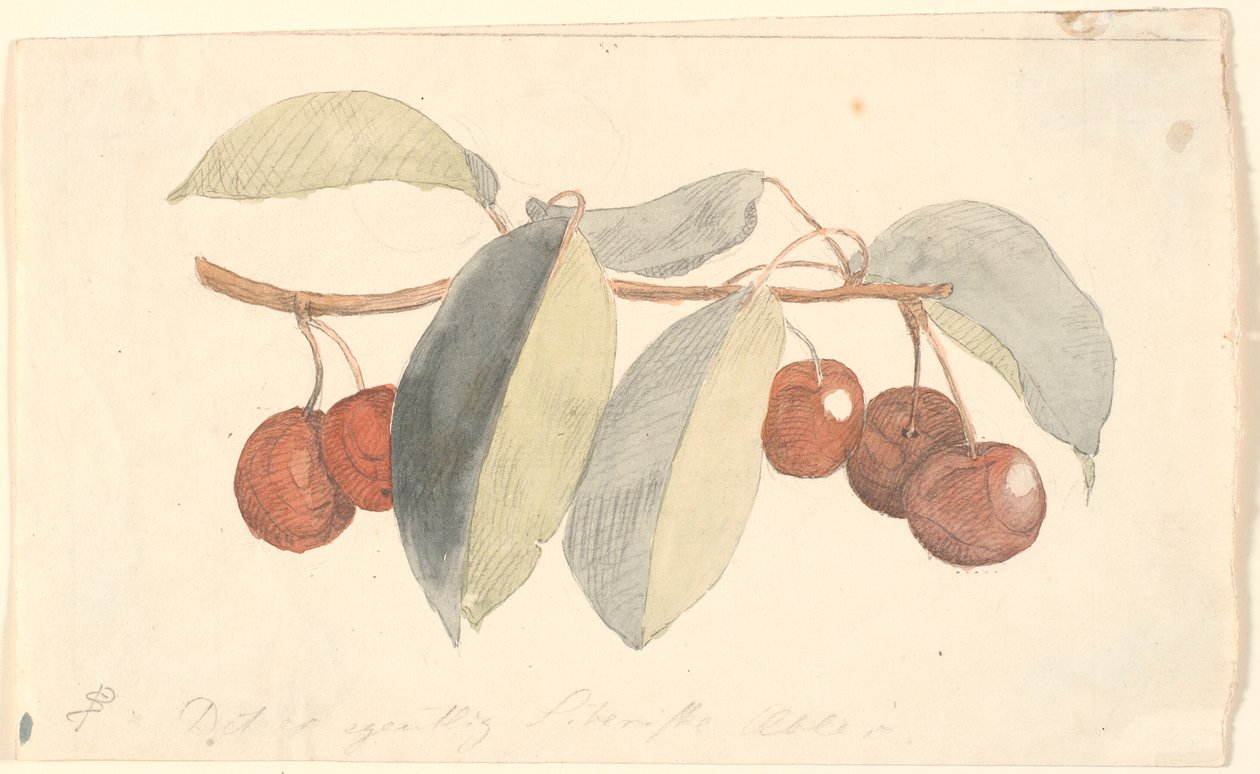 En gren med paradisæbler. av P.C. Skovgaard