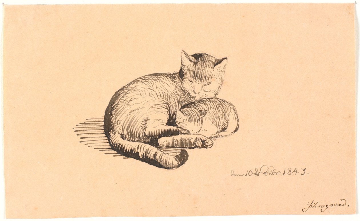 Liggende katt med kattungen sin. av P.C. Skovgaard