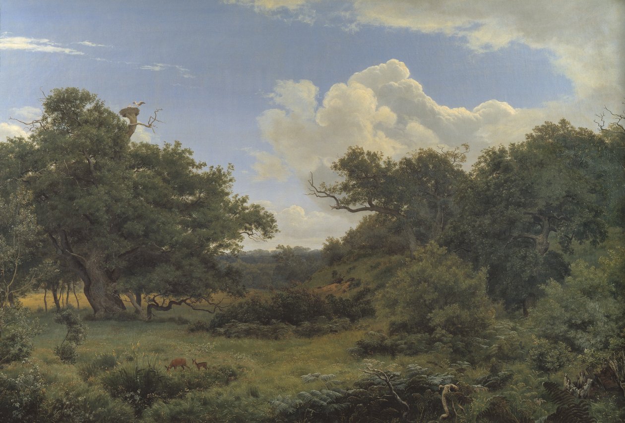 Eiketrær i Nordskoven ved Jægerspris, Sjælland av P.C. Skovgaard