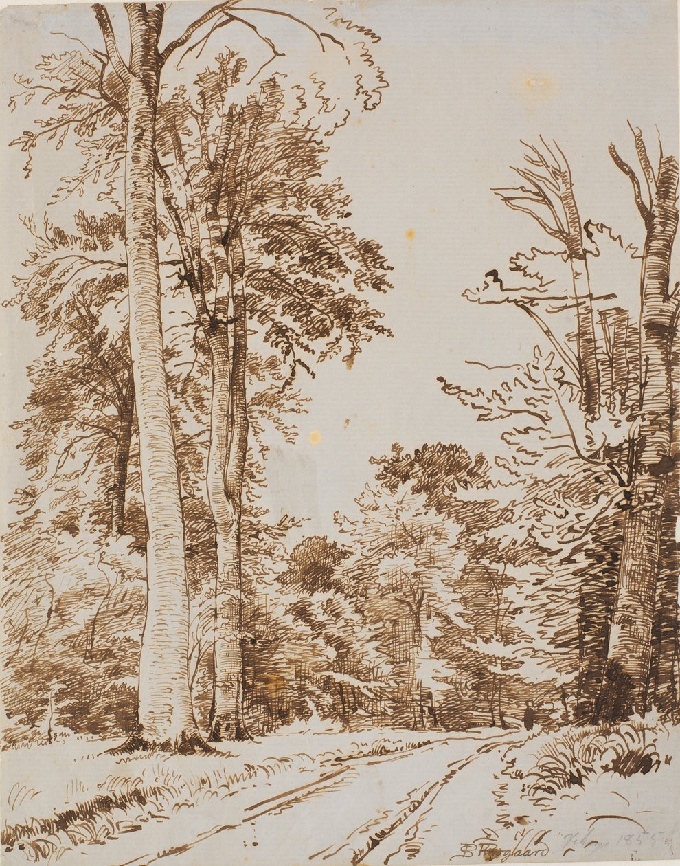 Skogsvei. Iselinge av P.C. Skovgaard