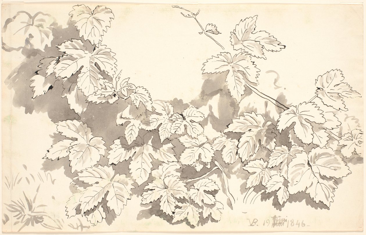 Studieark. Egeblade. av P.C. Skovgaard