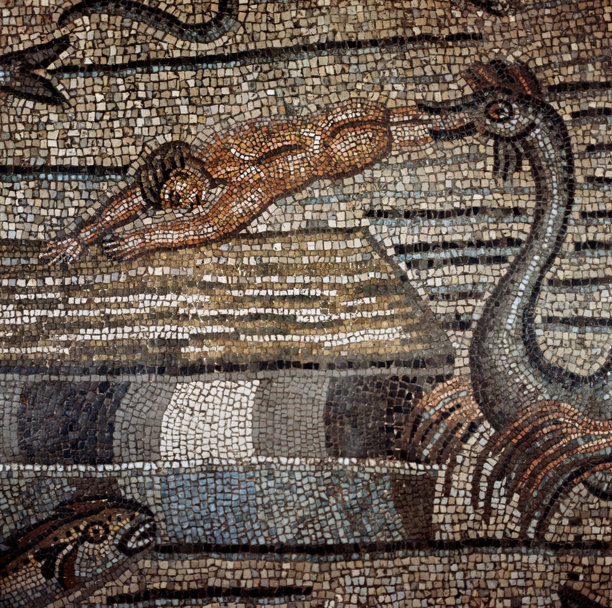 Scene fra livet til Jonas representerer avvisning av fisk på en strand Detalj. Mosaikk fra det 5. eller 6. århundre. Cathedrale d