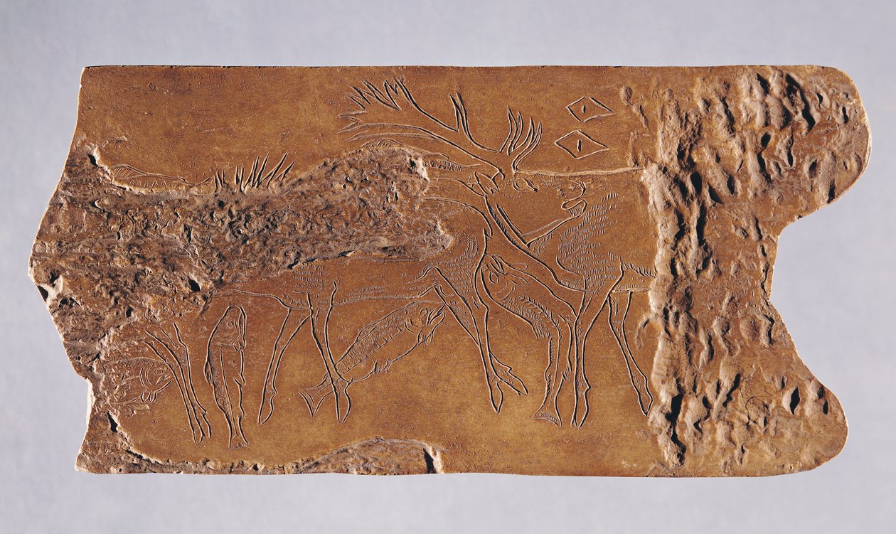 Reinsdyrhorn skåret med hjort og springende laks, fra Grotte de Lortet, Magdalenian, 15000-18000 f.Kr. (horn) av Paleolithic