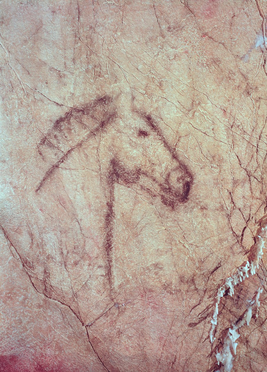 Head of a Horse, fra Cueva de la Pena de Candamo San Roman (hulemaleri) av Paleolithic