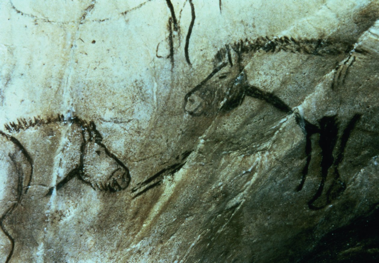 Hester, bergmalerier i det svarte rommet, Magdalenian (hulemaleri) av Paleolithic Paleolithic