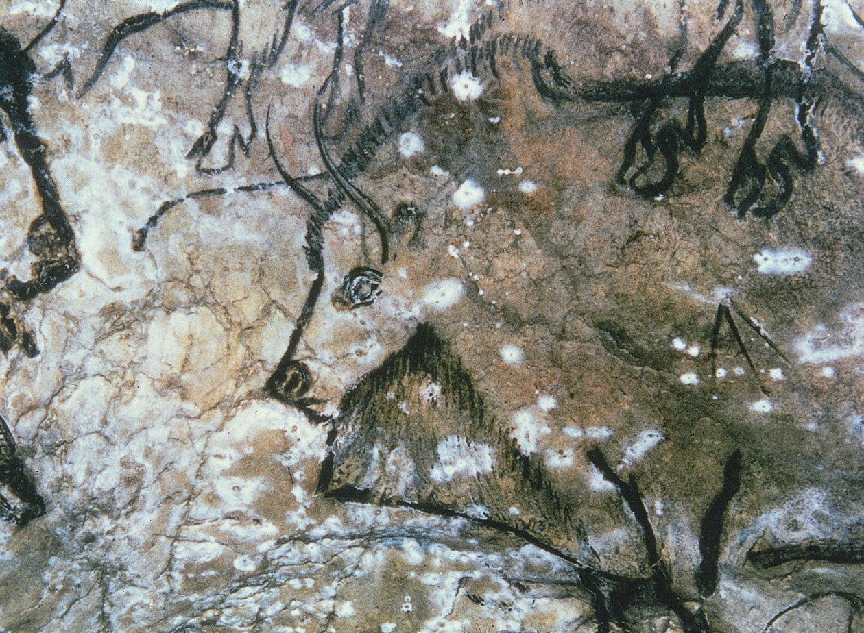 Skadet okse, bergmaleri, Magdalenian (hulemaleri) av Paleolithic Paleolithic