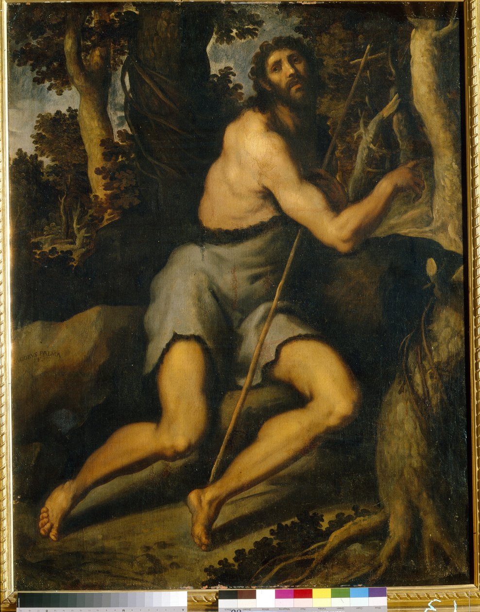 Døperen Johannes i ørkenen (Døperen Johannes i villmarken). Jacopo Palma il Giovane, den yngre (1544-1628), olje på lerret, 1500-1600-tallet. Italiensk kunst (Venezia), mannerisme. Museum for vestlig og orientalsk kunst, Kiev (ukraina). av Palma Il  Giovane