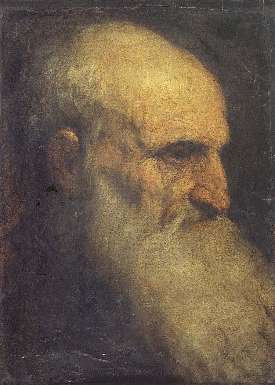 Hodet til en mann (foran), ca. 1588-90 (olje på lerret) av Palma Il Giovane