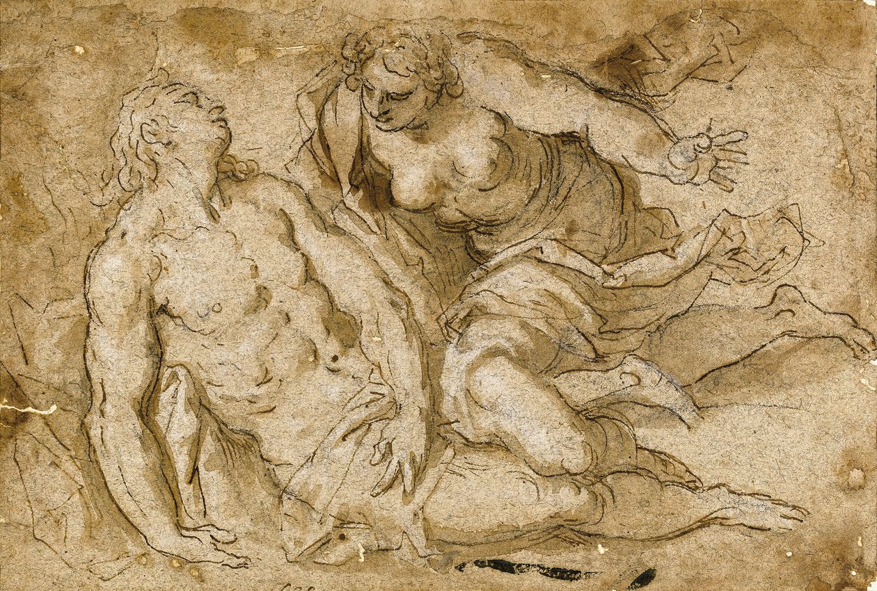 Venus oppdager den døde Adonis (svart kritt, penn og brunt blekk på papir) av Palma Il Giovane