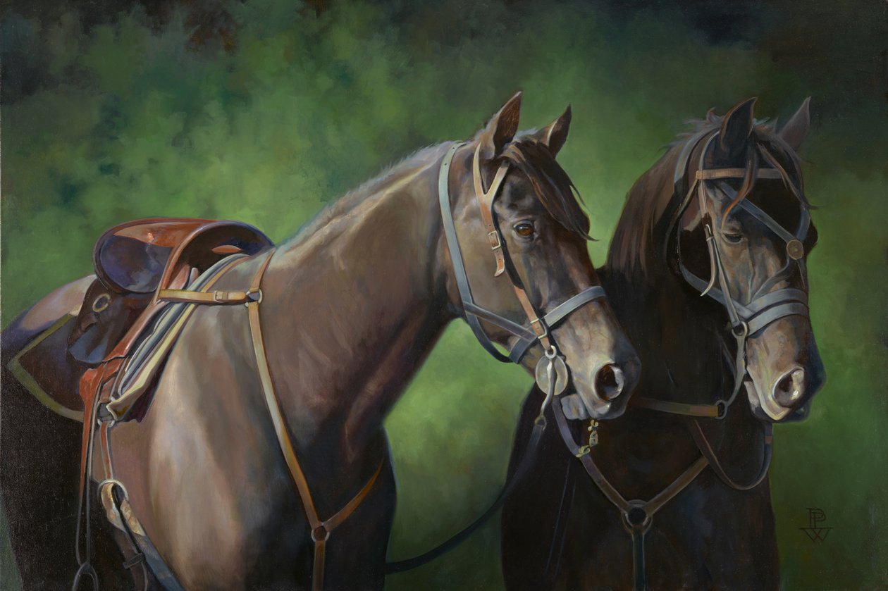  av Pamela Patrick White