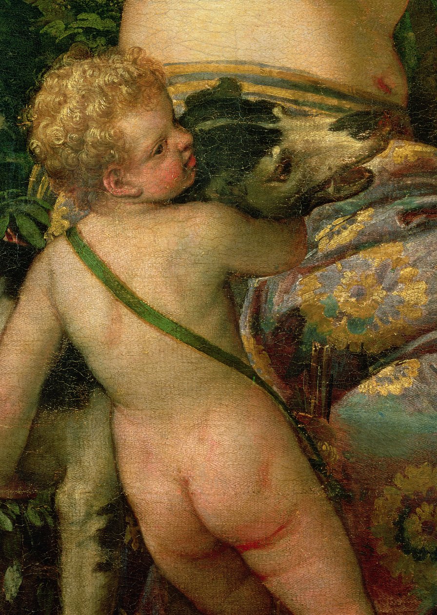 Amor, detalj fra Venus og Adonis, 1580 (detalj av 38598) av Paolo Veronese
