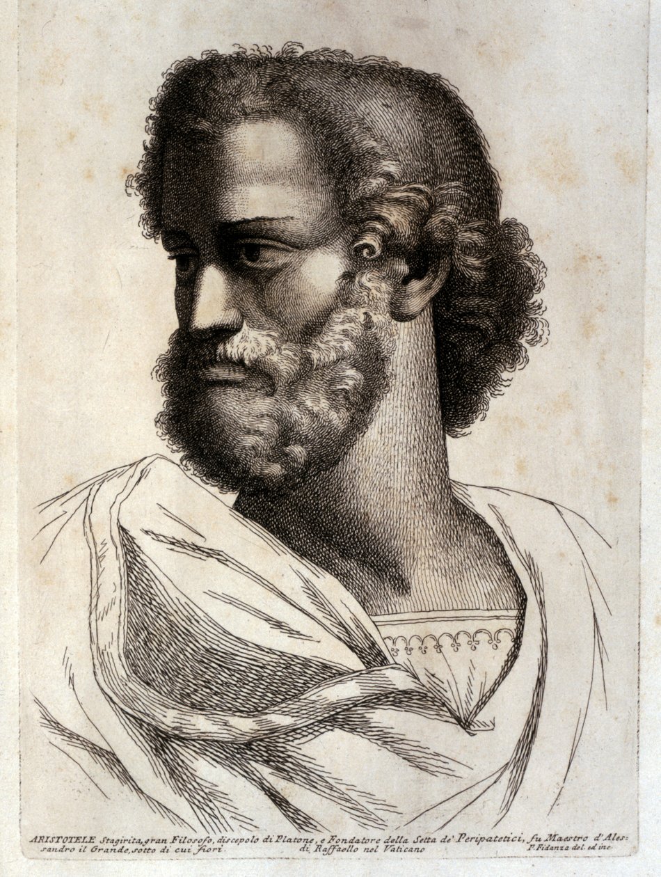  av Paolo Fidanza