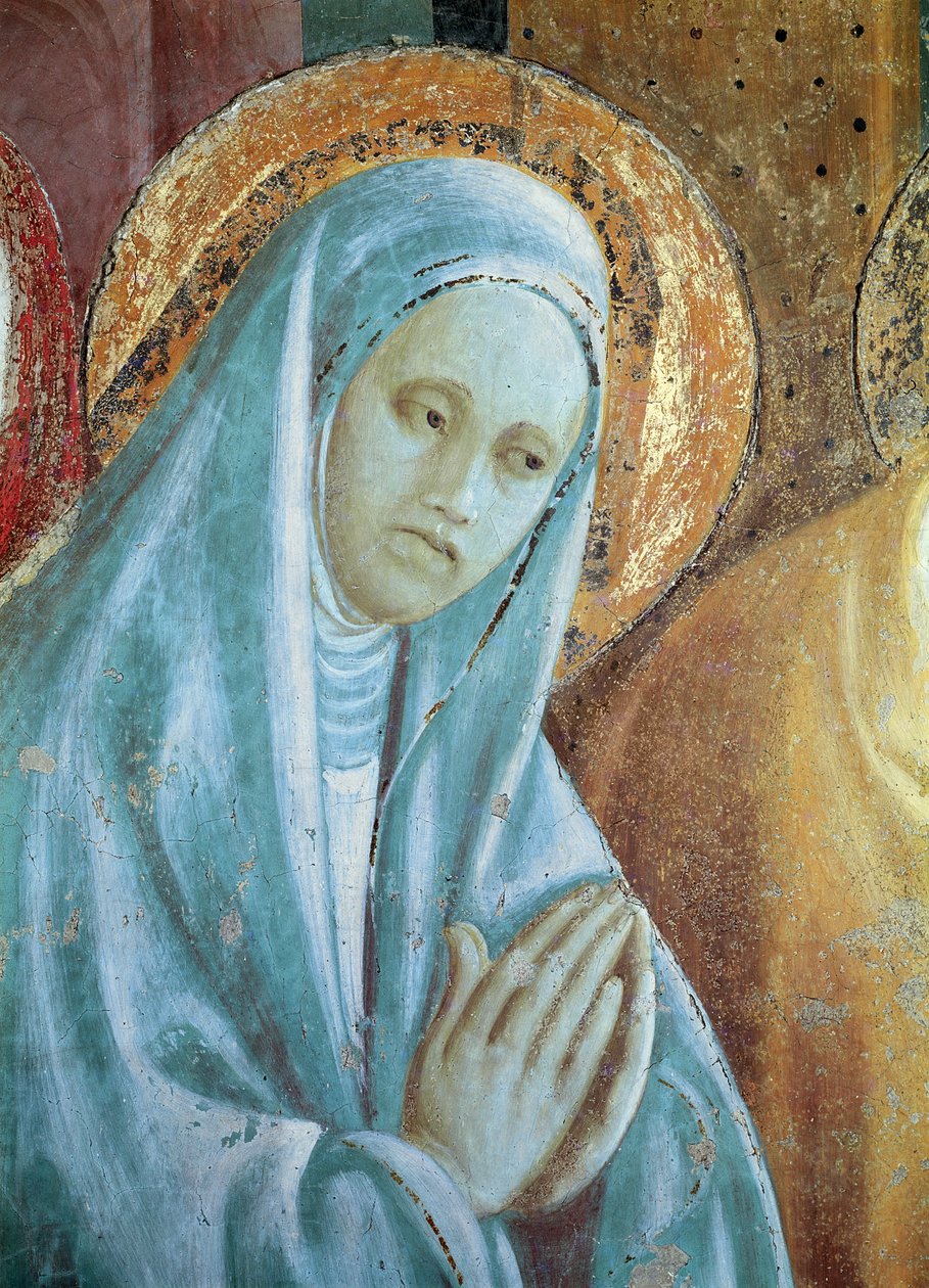 Head of Saint Anne fra presentasjonen av Maria i tempelet, 1433-34 (detalj) av Paolo Uccello