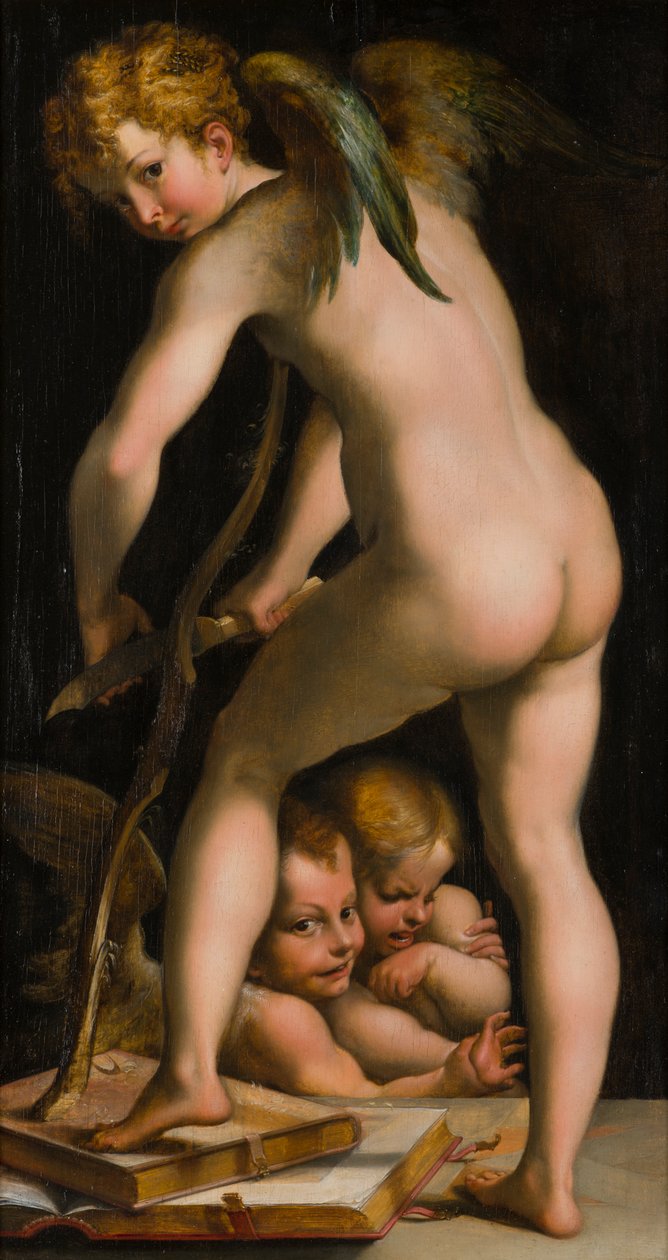 Amor barberer buen, ca. 1523-40 (olje på lerret) av Parmigianino 