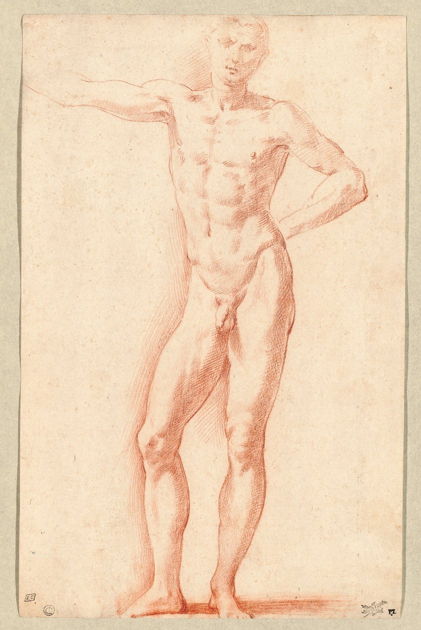 En mannlig nakenfigur (rød kritt) av Parmigianino (1503-40)