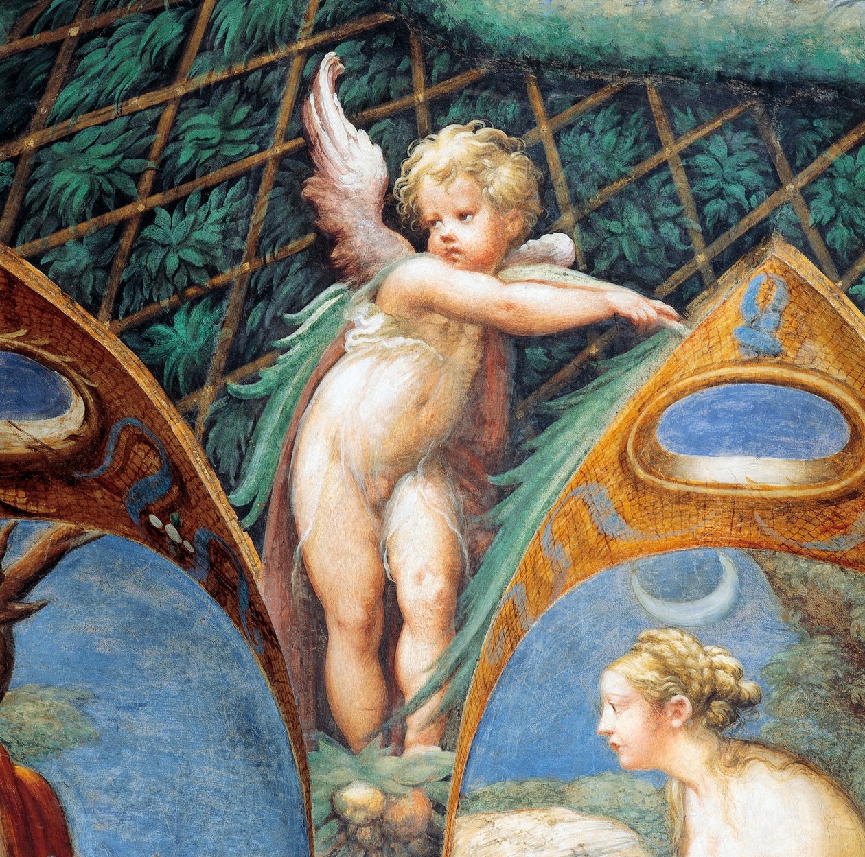 Cherub og Dianas ansikt, fra Myth of Diana and Actaeon, ca av Parmigianino