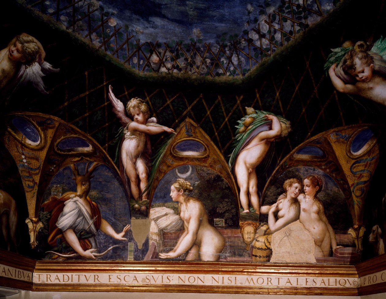 Diana gjør Actaeon til hjort, scene fra Myth of Diana and Actaeon av Parmigianino