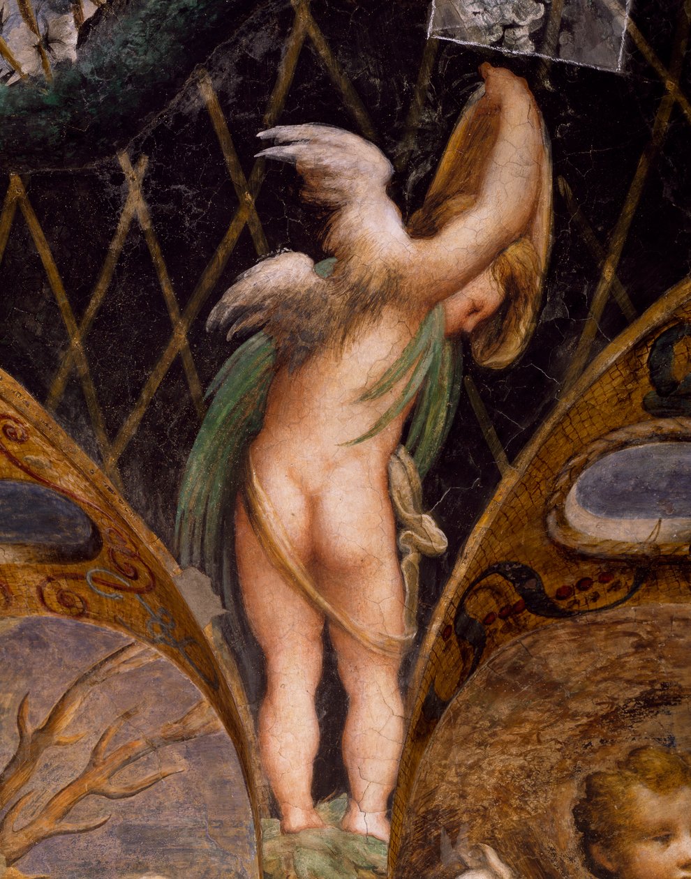 Putto, fra Myth of Diana and Actaeon av Parmigianino