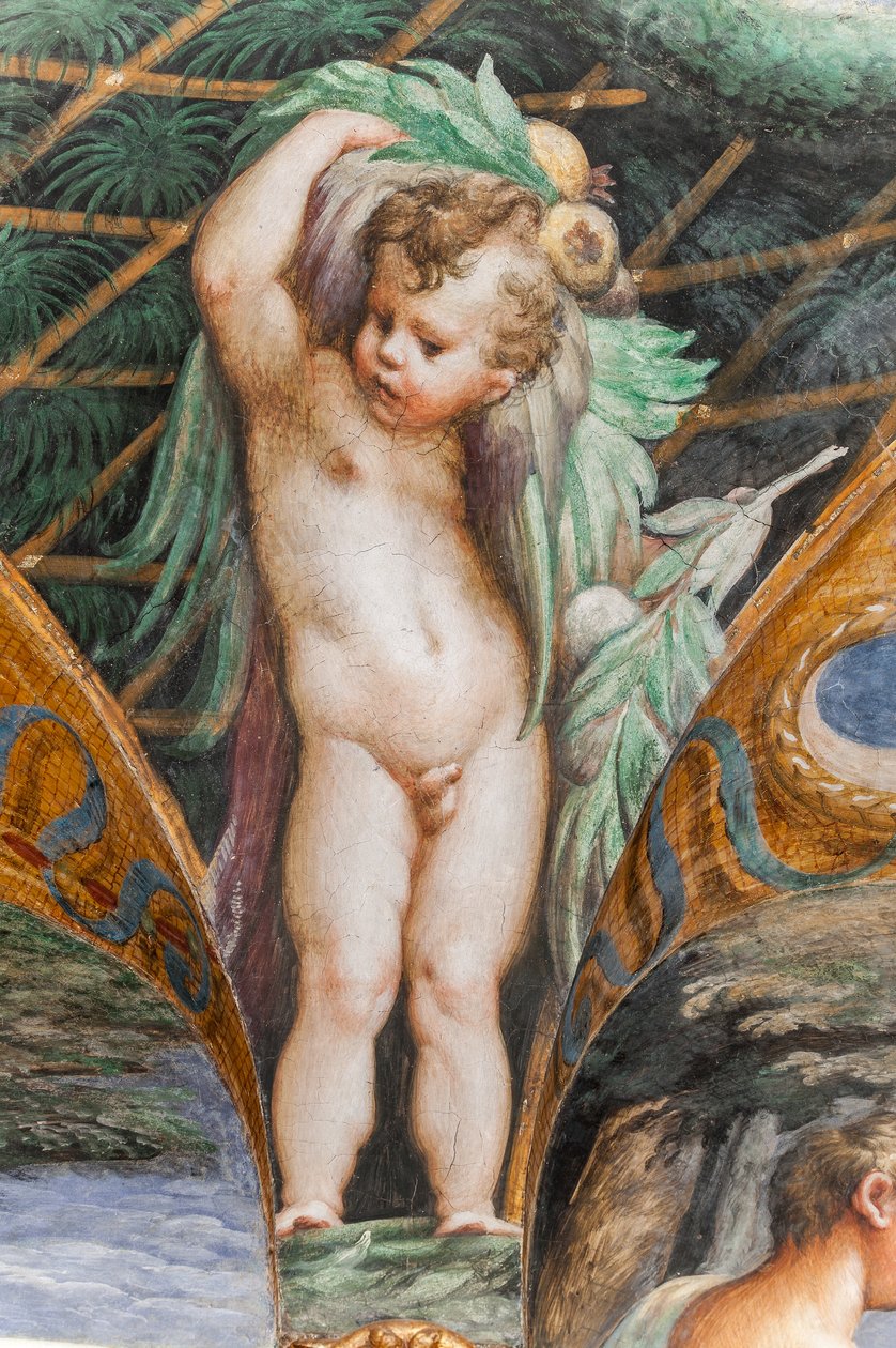 Putto, fra rommet til Diana og Actaeon, detalj av 2384753 av Parmigianino