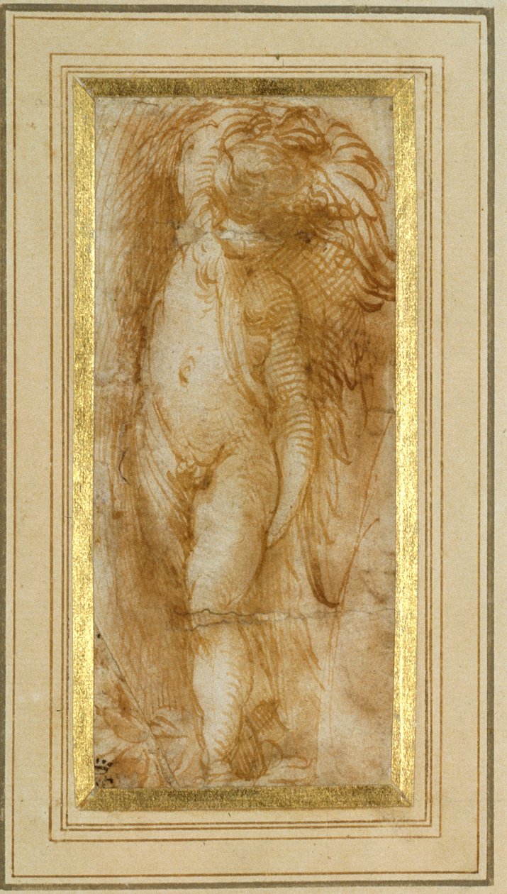 En putto vendt til venstre (penn og brunt blekk på papir) av Parmigianino