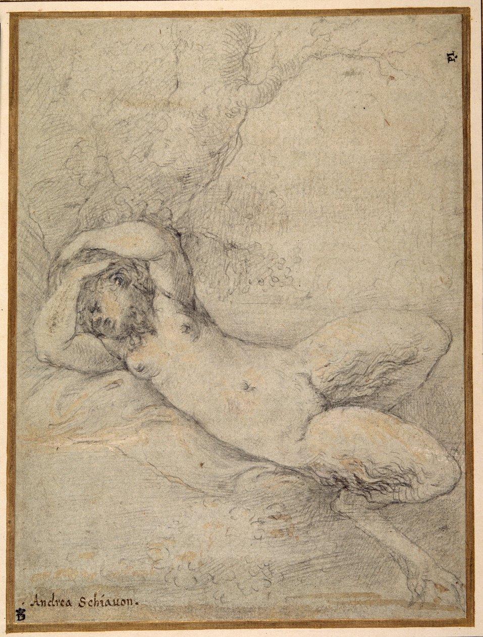 En satyrinne som sover under et tre (svart kritt med forhøyning i hvit kroppsfarge på carta azzurra) av Parmigianino