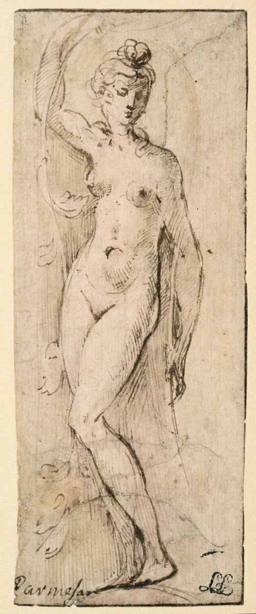 Kvinnefigur - studie for Santa Maria della Steccata, Parma (recto) av Parmigianino