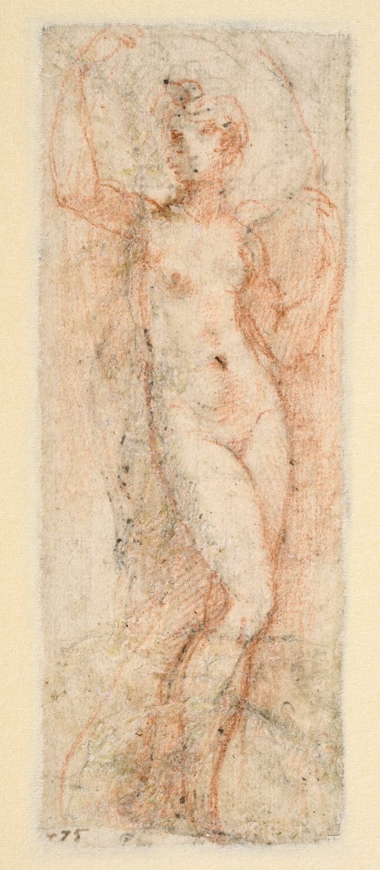Kvinnefigur - studie for Steccata (verso) av Parmigianino