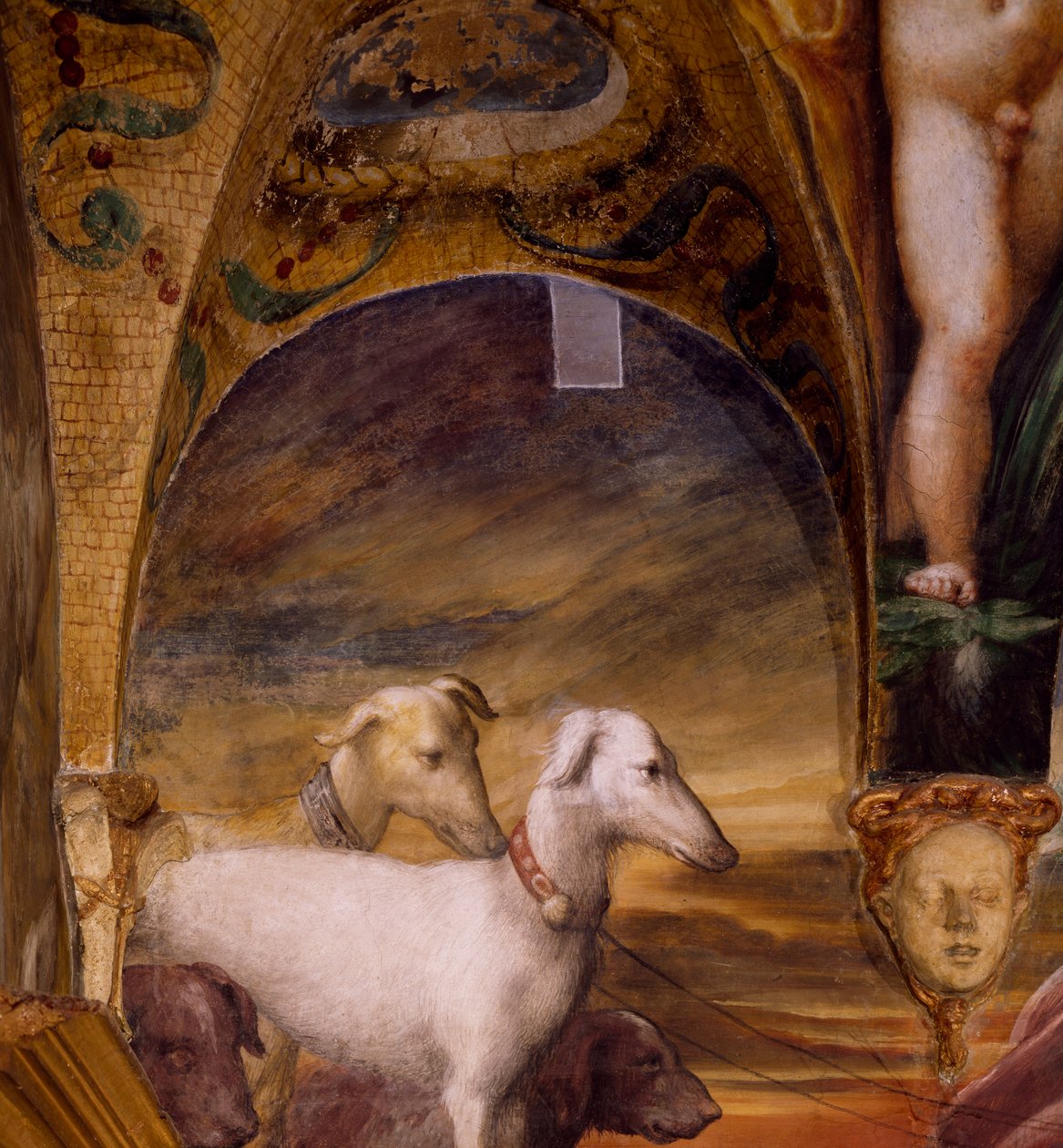 Gruppe med hunder, fra Myth of Diana and Actaeon av Parmigianino