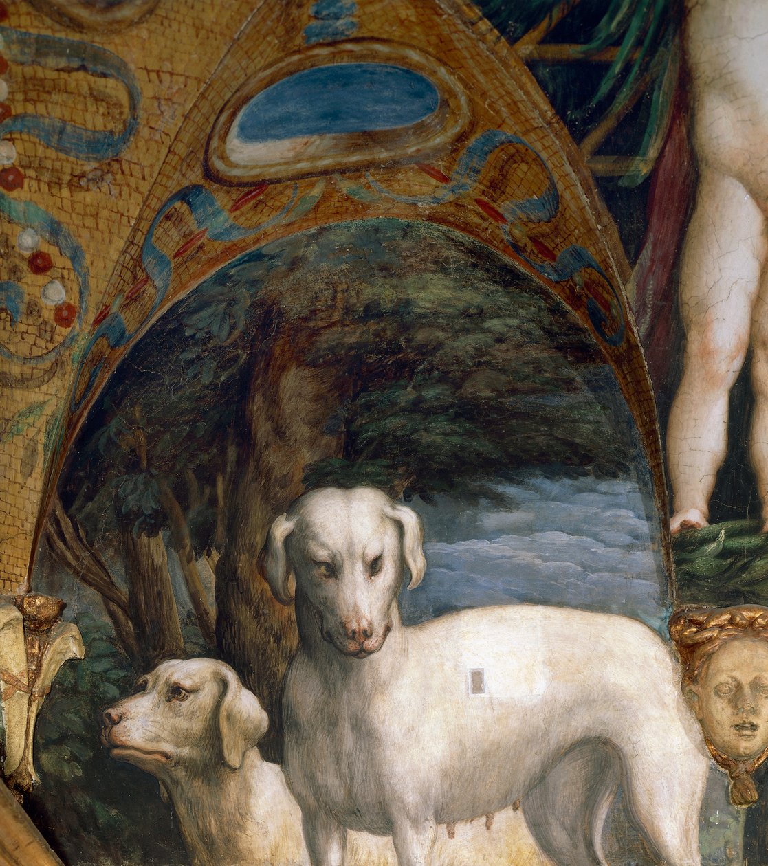Hundepar, detalj fra Myth of Diana and Actaeon, av Francesco Mazzola kjent som Parmigianino (1503-1540), freskomaleri, nordsiden av Room of Diana and Actaeon, Rocca Sanvitale, Fontanellato, nær Parma, Italia, rundt 1524 av Parmigianino